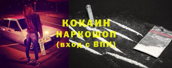 винт Горняк