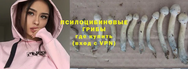 винт Горняк