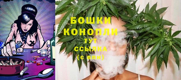 винт Горняк