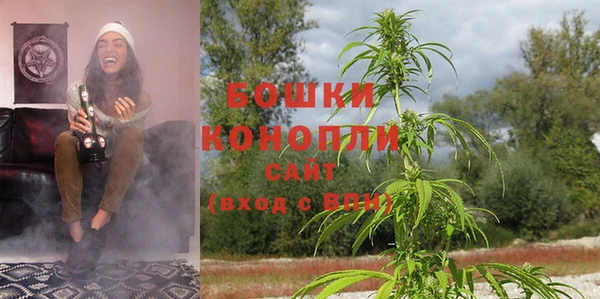 ALPHA PVP Горнозаводск