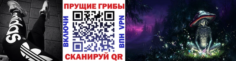 Псилоцибиновые грибы GOLDEN TEACHER Правдинск