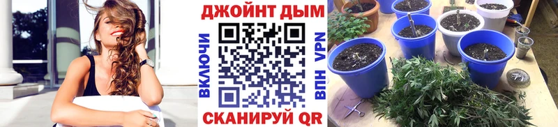 Бошки марихуана THC 21% Правдинск